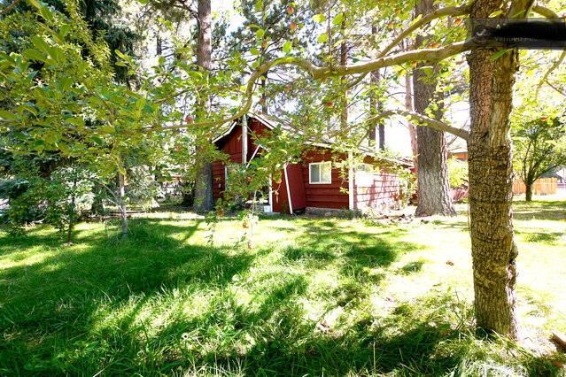 Green Cabin In Big Bear Lake 3 Bdr Pets Friendly Біг-Беар-Сіті Екстер'єр фото